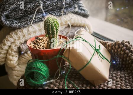 Cactus verde vicino alla finestra con un regalo di Natale in carta artigianale. Natale accogliente. Sciarpe in maglia morbida e regalo confezionato a mano sul davanzale. Se Foto Stock