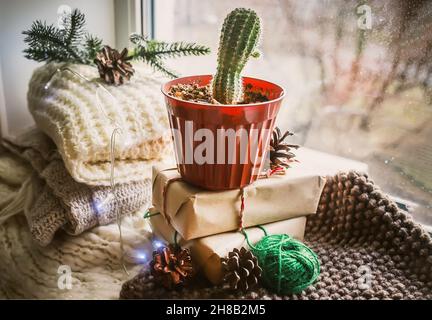 cactus in una pentola a windowsill . accogliente zero spreco Natale con arredamento riciclato. Sciarpe in maglia morbida e regalo confezionato a mano sul davanzale. Selettivo Foto Stock