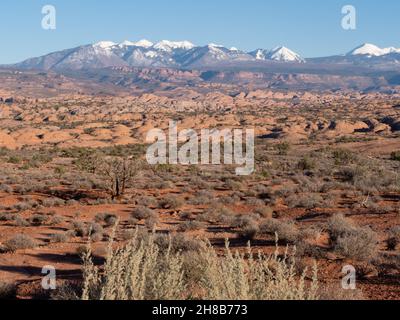 Montagne la SAL innevate con dune di sabbia e pennellate nella valle in primo piano. Fotografato ad Arches National Park, Utah. Foto Stock