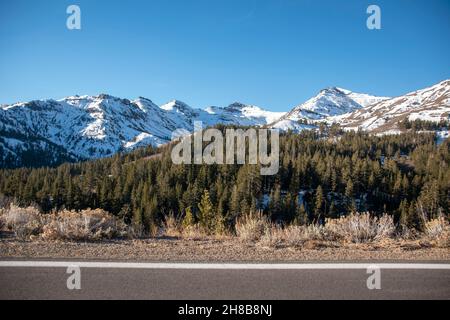 Il sonora Pass lungo la state Route 108 è il secondo passo di montagna più alto della California dopo il Tioga Pass Foto Stock