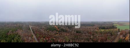 Vista panoramica aerea su un'ampia foresta autunnale. Foto Stock