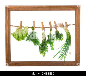 Set di erbe di spezie isolate su grappoli bianchi di timo, basilico, origano, prezzemolo Foto Stock