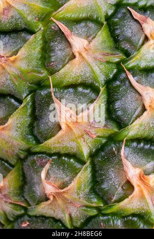 Macro shot ananas texture sfondo. Pelle di ananas in primo piano. Ananas intero modello Foto Stock