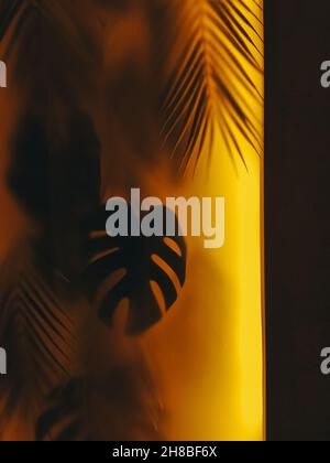 le foglie tropicali brillano attraverso il vetro, luce gialla. Elemento di progettazione. Foto Stock