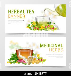 Due striscioni orizzontali colorate di erbe medicinali e tè alle erbe in tazze di vetro circondate da erbe isolate illustrazione vettoriale Illustrazione Vettoriale
