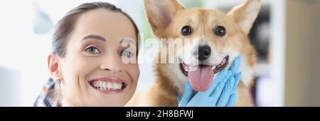 Ritratto di femmina sorridente veterinario insieme con zenzero cane Foto Stock