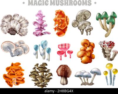 Set di funghi magici di varia forma e colore con illustrazione vettoriale di bolle e goccioline rosse isolate Illustrazione Vettoriale