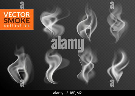 Fumo isolato. Bianco fumo nuvole caldo cibo vapore hookah tè caffè fumo vapore trama su sfondo nero Illustrazione Vettoriale