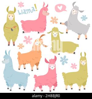 Set di lama carino. Baby lama alpaca, lama selvaggia. Peru cammello ragazza invito elementi cartoon vettore set Illustrazione Vettoriale