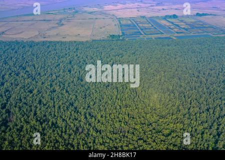 Vista aerea della foresta di mangrovie costiere a Dhal Chhar. Dhal Char è una delle numerose isole nel delta del fiume Meghna nel Gange De più ampio Foto Stock