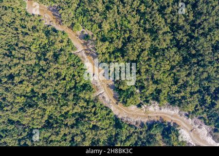 Vista aerea della foresta di mangrovie costiere a Dhal Chhar. Dhal Char è una delle numerose isole nel delta del fiume Meghna nel Gange De più ampio Foto Stock