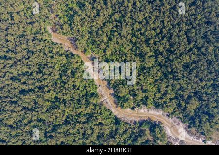 Vista aerea della foresta di mangrovie costiere a Dhal Chhar. Dhal Char è una delle numerose isole nel delta del fiume Meghna nel Gange De più ampio Foto Stock