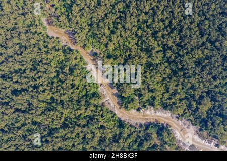 Vista aerea della foresta di mangrovie costiere a Dhal Chhar. Dhal Char è una delle numerose isole nel delta del fiume Meghna nel Gange De più ampio Foto Stock