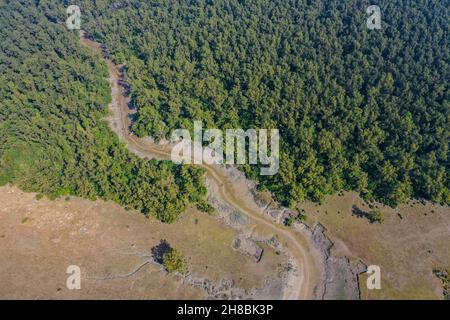 Vista aerea della foresta di mangrovie costiere a Dhal Chhar. Dhal Char è una delle numerose isole nel delta del fiume Meghna nel Gange De più ampio Foto Stock