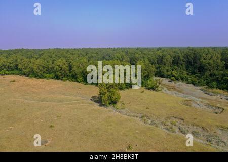 Vista aerea della foresta di mangrovie costiere a Dhal Chhar. Dhal Char è una delle numerose isole nel delta del fiume Meghna nel Gange De più ampio Foto Stock