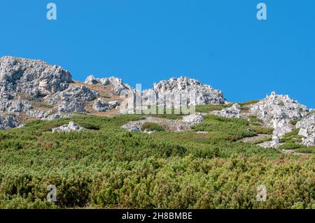 Aspre scogliere di cima del monte Elfer, Stubaital, Tirolo, Austria Foto Stock