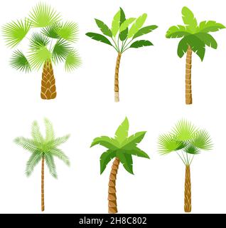 Decorative palme set di icone isolato illustrazione vettoriale Illustrazione Vettoriale