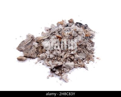 Ceneri isolate su sfondo bianco Foto Stock
