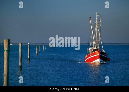 Barca per gamberetti nel porto di Neuharlingersiel, Germania, bassa Sassonia, bassa Sassonia Parco Nazionale del Mare di Wadden, Neuharlingersiel Foto Stock