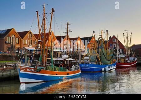 Gamberetti nel porto di pesca di Neuharlingersiel, Germania, bassa Sassonia, Frisia orientale, Neuharlingersiel Foto Stock