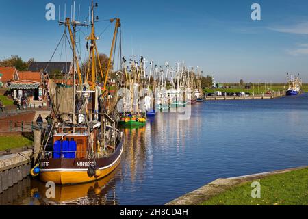 Porto di pesca con pescherecci adibiti alla pesca dei gamberetti, Krummhoern, Germania, bassa Sassonia, Frisia orientale, Greetsiel Foto Stock