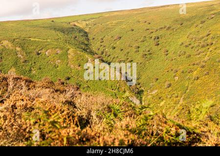 Sentieri sulle ripide colline di Carding Mill Valley, Long Mynd, Shropshire Hills, Inghilterra Area of Natural Beauty, Foto Stock