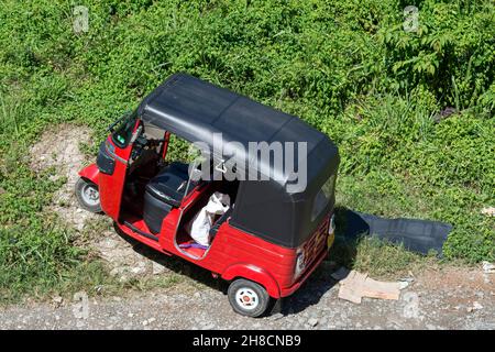 Sri Lanka, provincia di Uva, provincia di Uva, provincia di Uva, rotta sur la, Auf der Strasse, sulla strada, Tuk Tuk Foto Stock