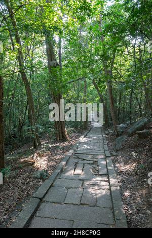 Sri Lanka, Provincia Centrale, Provincia Centrale, Provincia Centrale, Ritigala est une montagne du centre du Sri Lanka qui abrite un ancien monastère boud Foto Stock