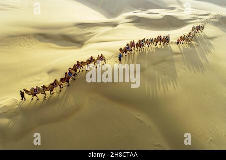 Ordos, la regione autonoma della Mongolia interna della Cina. 29 novembre 2021. La foto aerea mostra una mandria di cammelli nel deserto di Kubuqi, regione autonoma della Mongolia interna della Cina settentrionale, 29 novembre 2021. Credit: Wang Zheng/Xinhua/Alamy Live News Foto Stock