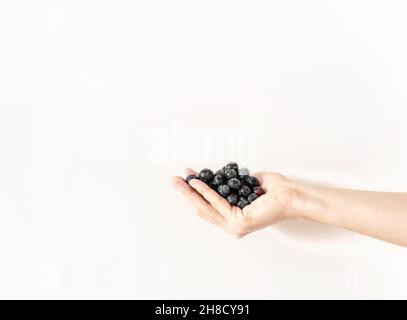 Mirtilli in mano di una donna. Mano femminile di incerta giovane donna che tiene fresco maturo mirtillo Foto Stock