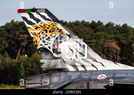 Special Painted Tiger incontra il jet F-16 dell'Aeronautica militare portoghese alla base aerea Kleine-Brogel, Belgio - 13 settembre 2021 Foto Stock