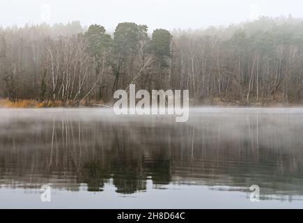 Treplin, Germania. 28 novembre 2021. La nebbia velina il paesaggio del lago Treplin nel Brandeburgo orientale. Credit: Patrick Pleul/dpa-Zentralbild/ZB/dpa/Alamy Live News Foto Stock