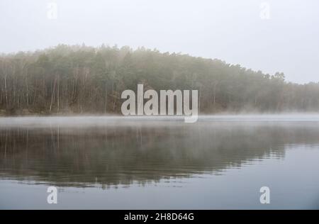 Treplin, Germania. 28 novembre 2021. La nebbia velina il paesaggio del lago Treplin nel Brandeburgo orientale. Credit: Patrick Pleul/dpa-Zentralbild/ZB/dpa/Alamy Live News Foto Stock