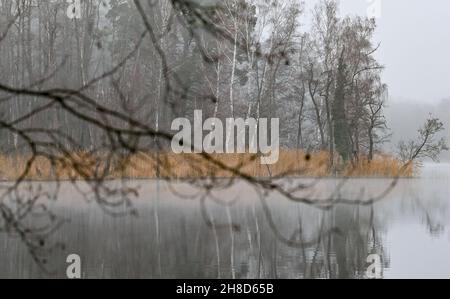 Treplin, Germania. 28 novembre 2021. La nebbia velina il paesaggio del lago Treplin nel Brandeburgo orientale. Credit: Patrick Pleul/dpa-Zentralbild/ZB/dpa/Alamy Live News Foto Stock