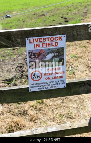 Un segno fotografico nel campo di un agricoltore che mostra immagini di bestiame che sono stati feriti da cani fuori dai loro cavi, consigliando di tenere i cani su un piombo Foto Stock