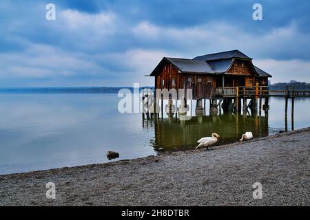 Scena idilliaca all'Ammersee in Baviera con boathouse e cigni Foto Stock