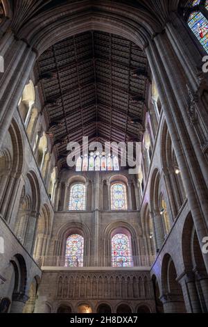 Inghilterra, Cambridgeshire, Ely Cathedral, Interior che mostra l'arco e l'alto soffitto a volta in legno Foto Stock