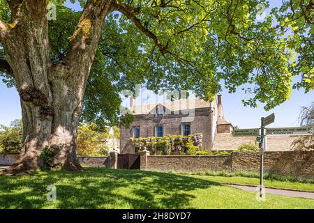 La vecchia canonica visto dal grande albero di sicomoro sul verde nel villaggio Cotswold di Cold Aston (aka Aston Blank), Gloucestershire Regno Unito Foto Stock