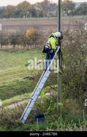 BT Openreach ingegnere che lavora su una linea nella campagna rurale del Norfolk. Foto Stock