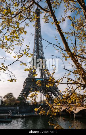 Albero di fronte alla Torre Eiffel, Parigi, Francia Foto Stock