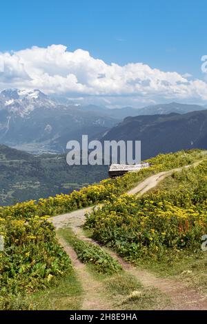 Paesaggio montano estivo vicino a Mestia, regione di Svaneti, Georgia, Asia. Montagne innevate sullo sfondo. Cielo blu con le nuvole sopra. Georgiano Foto Stock