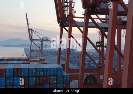 Nave mercantile con container ormeggiata nel terminal container per essere caricata e scaricata da gru a portale azionate da stedores. Foto Stock