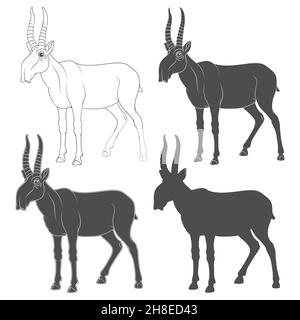 Set di illustrazioni in bianco e nero raffiguranti un antilope saiga. Oggetti vettoriali isolati su sfondo bianco. Illustrazione Vettoriale