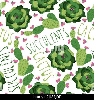 Modello senza cuciture con succulenti e cactus in pentole colorate, modello in doodle disegno a mano. Illustrazione Vettoriale