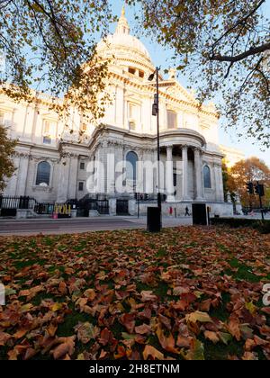 Londra, Grande Londra, Inghilterra, novembre 23 2021: L'autunno parte a terra di fronte alla cattedrale di St Pauls. Foto Stock