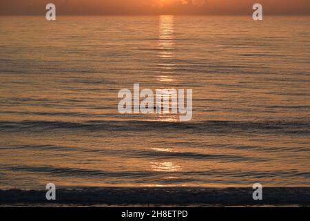 Un delfino si trova all'alba a New Smyrna Beach, Florida, USA. Foto Stock