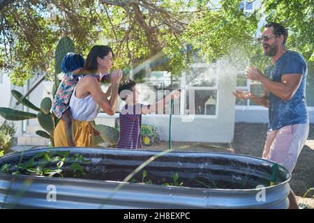 Divertente figlio spruzzando padre con tubo nel cortile estivo Foto Stock