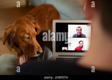 Uomo con cane video chat sullo schermo del laptop Foto Stock