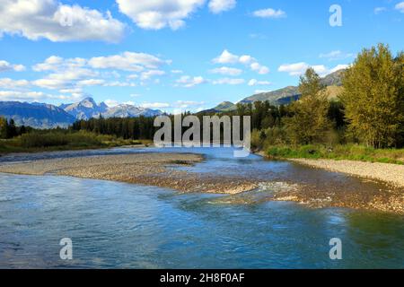 Il fiume Elk è un fiume lungo 220 chilometri, nel distretto di Kootenay sud-orientale della provincia canadese della British Columbia. Foto Stock