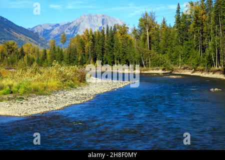 Il fiume Elk è un fiume lungo 220 chilometri, nel distretto di Kootenay sud-orientale della provincia canadese della British Columbia. Foto Stock